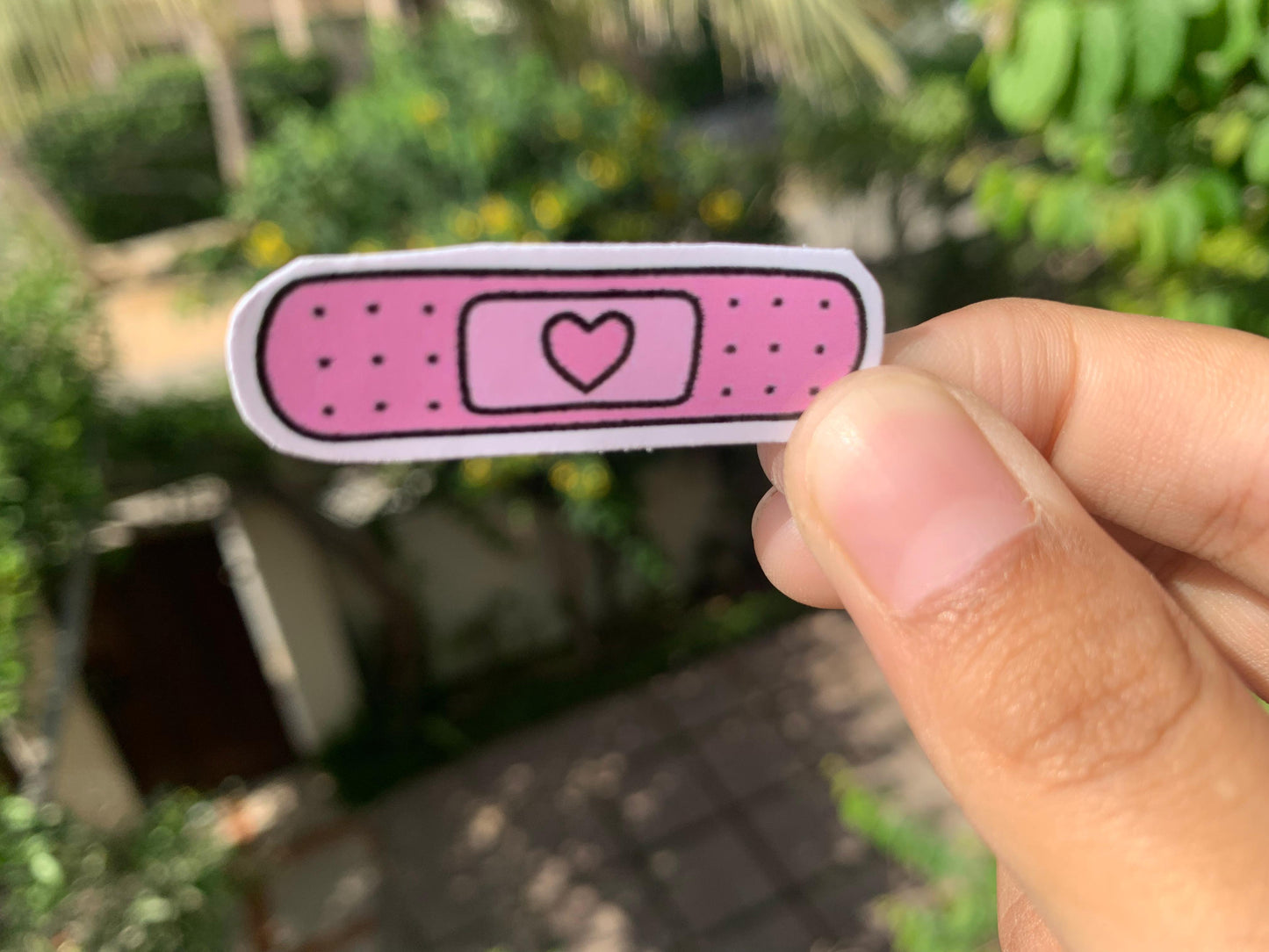 Pack Of 15 Bundle 01