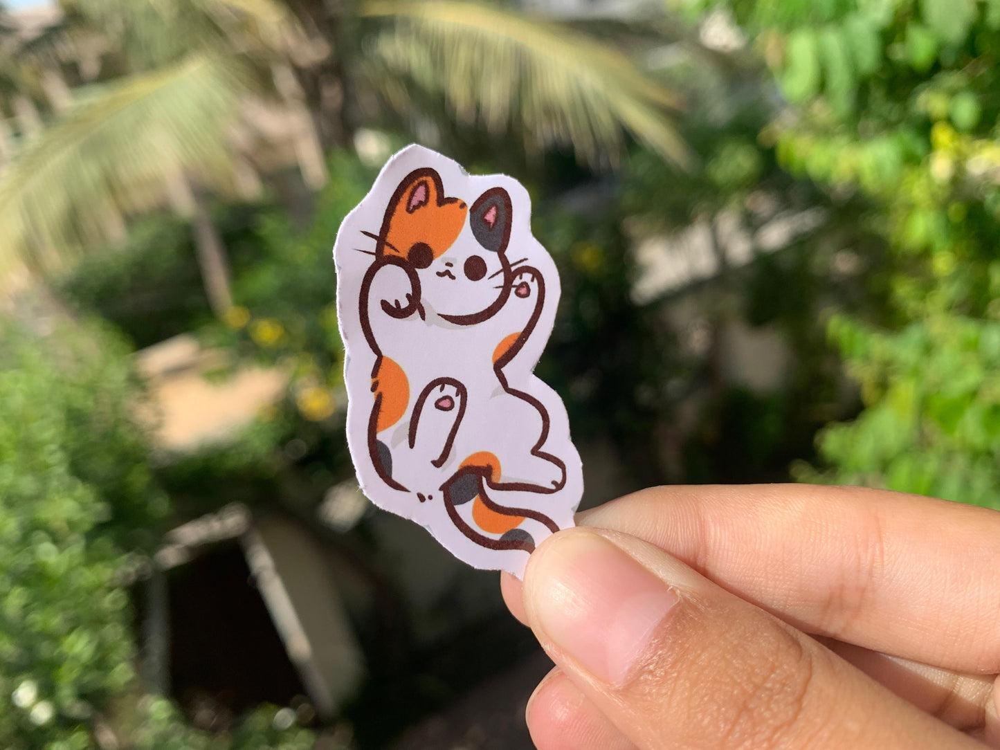 Pack Of 15 Bundle 01