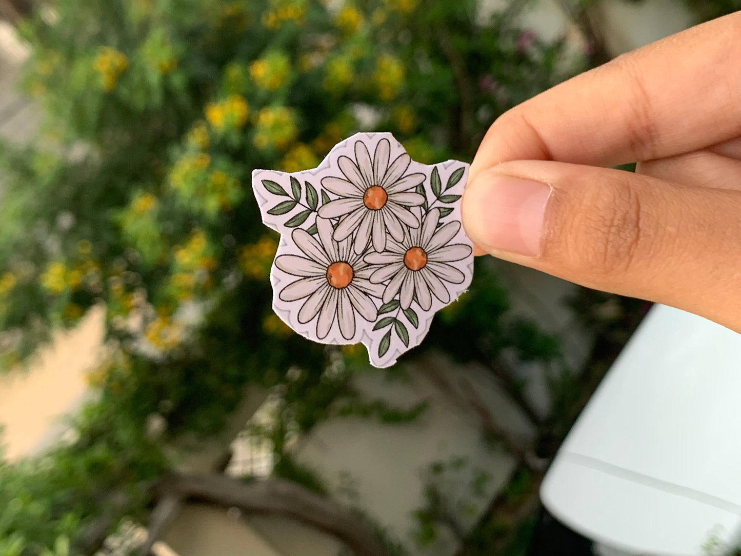 Pack Of 15 Bundle 01