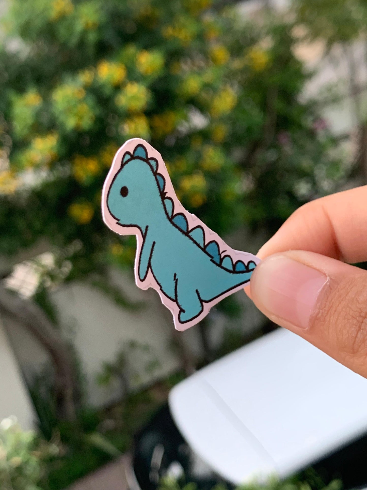 Pack Of 15 Bundle 01