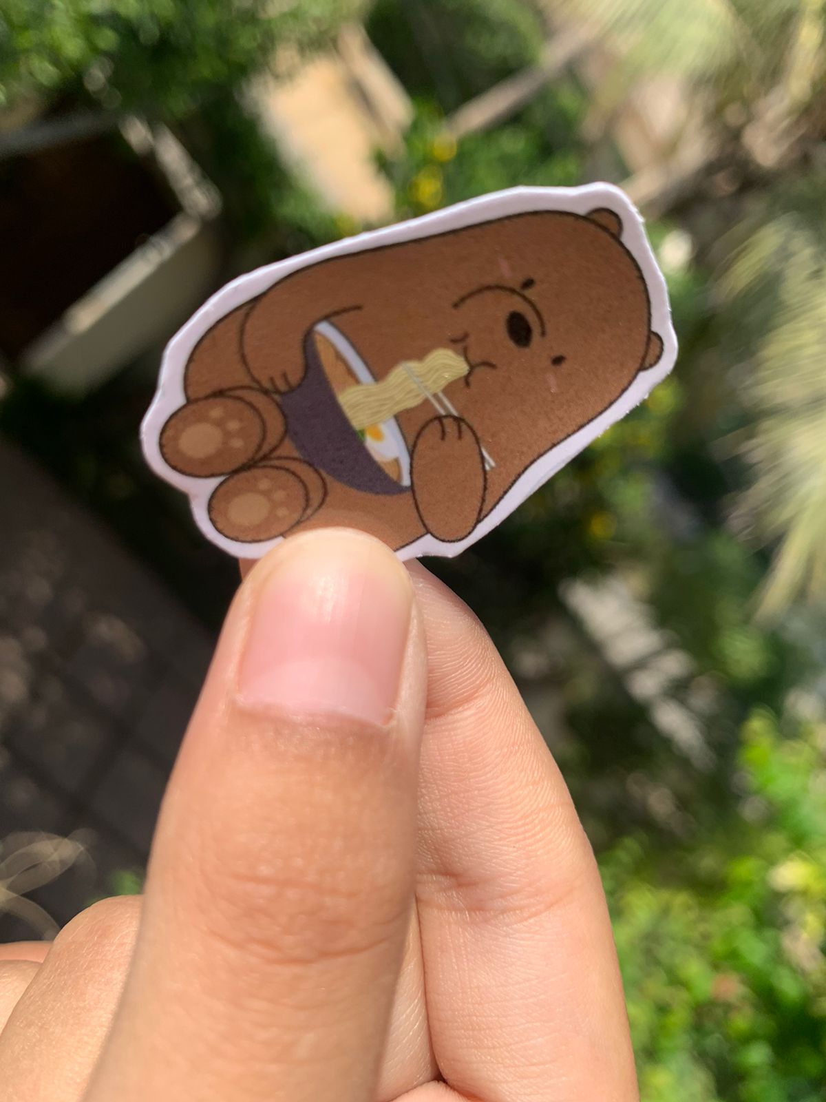 Pack Of 15 Bundle 01