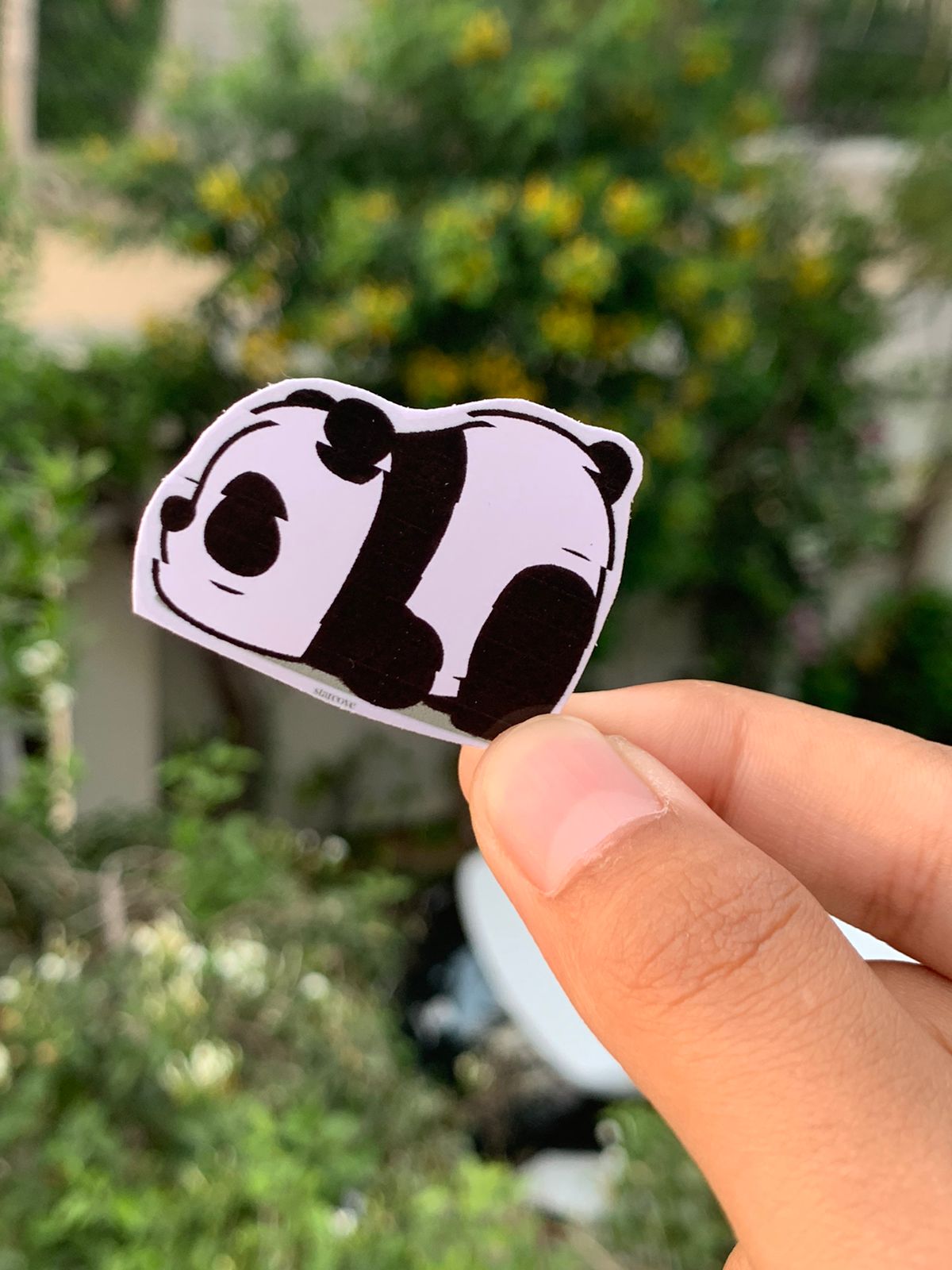 Pack Of 15 Bundle 01