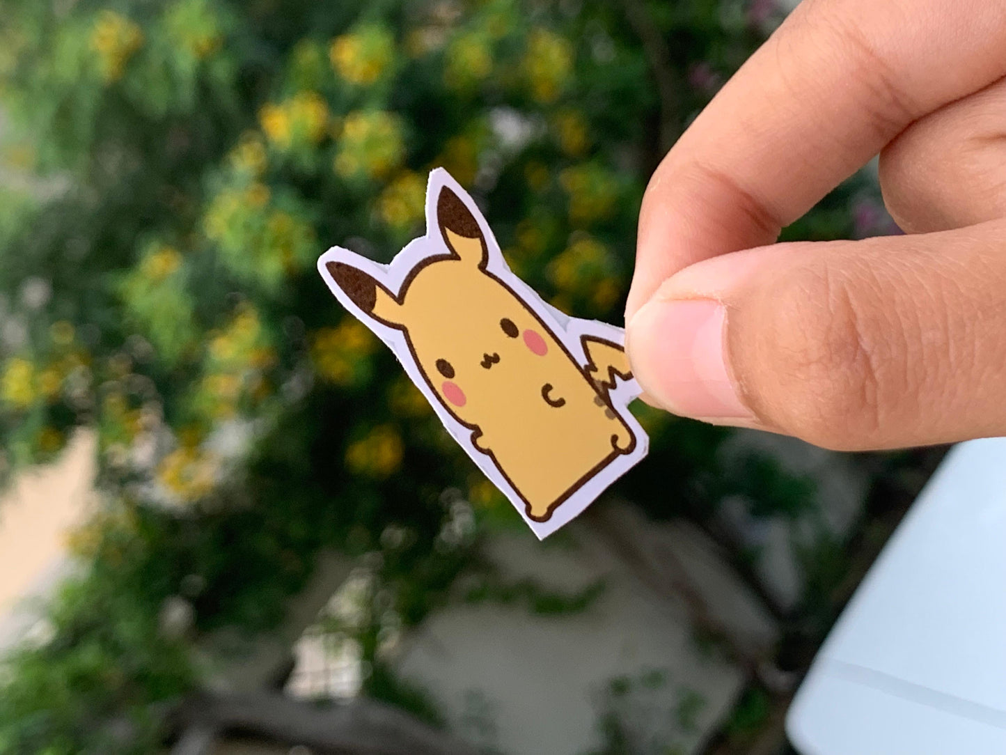 Pack Of 15 Bundle 01
