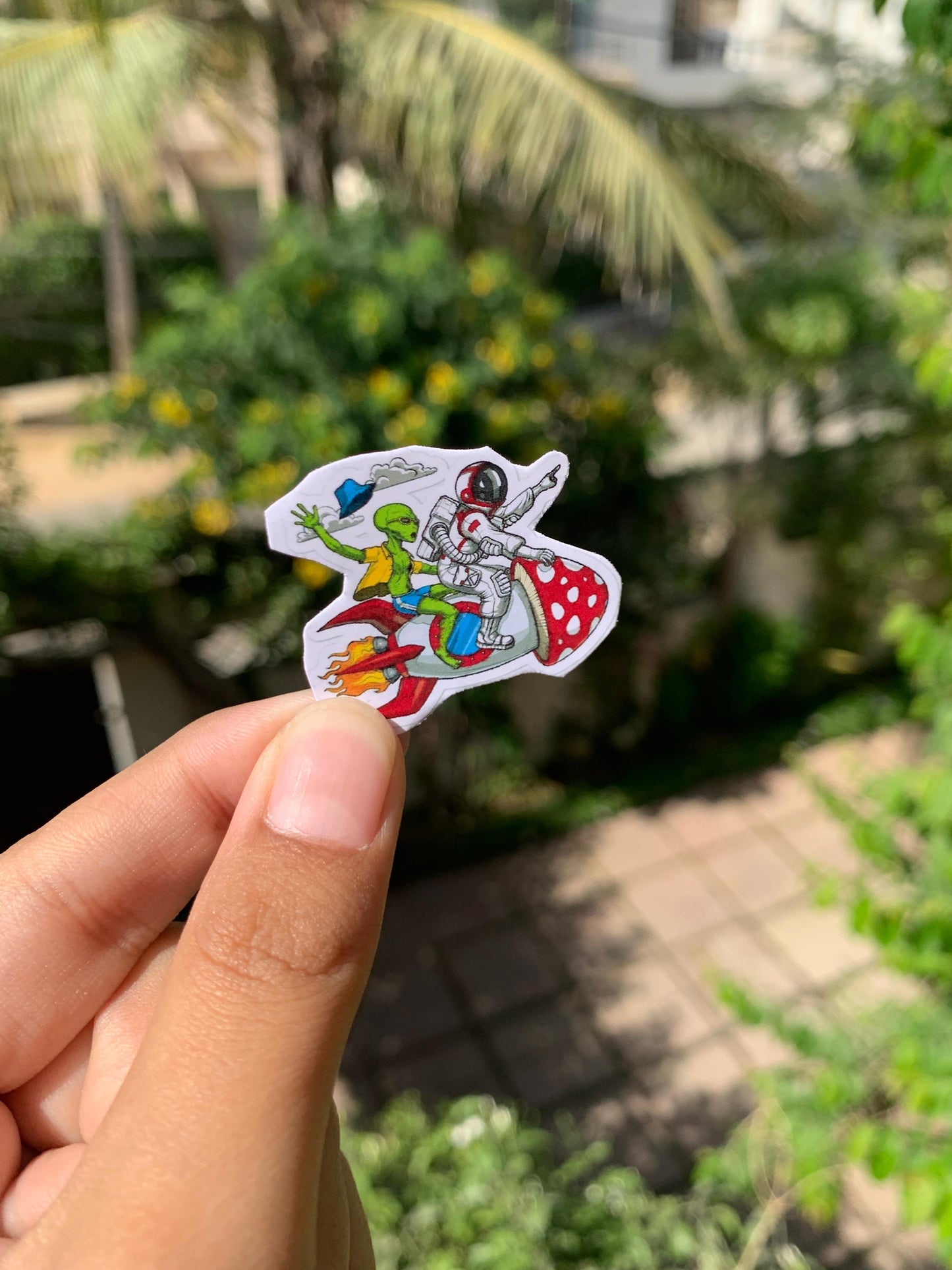 Pack Of 15 Bundle 01