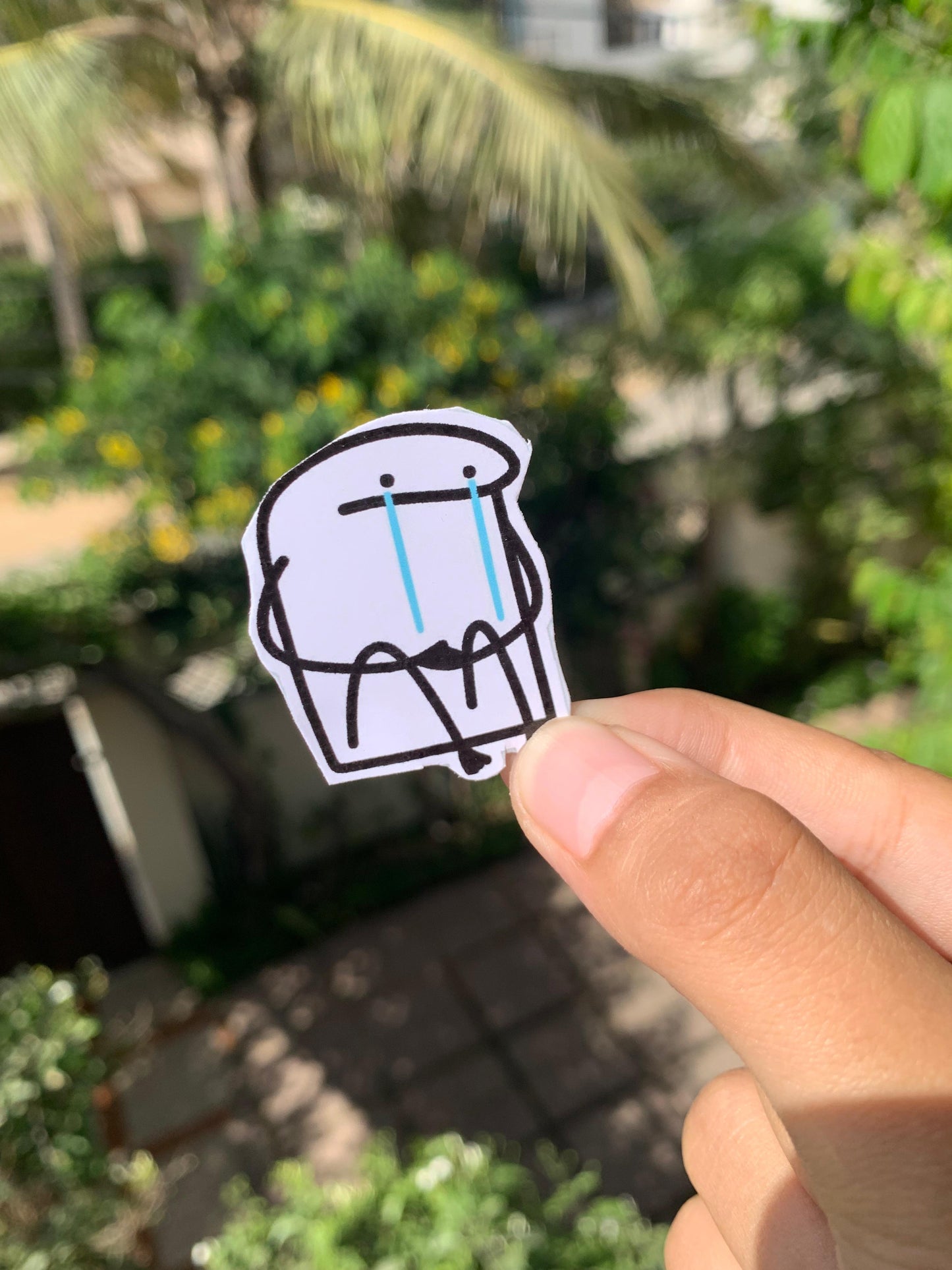 Pack Of 15 Bundle 01