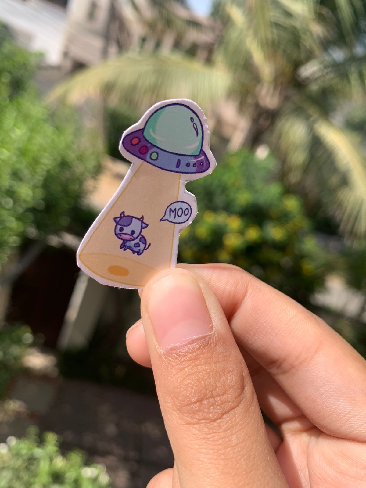 Pack Of 15 Bundle 01