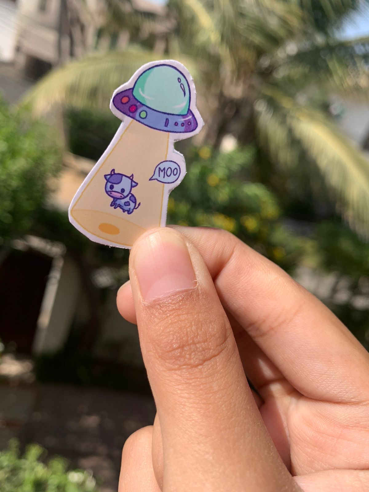 Pack Of 15 Bundle 01