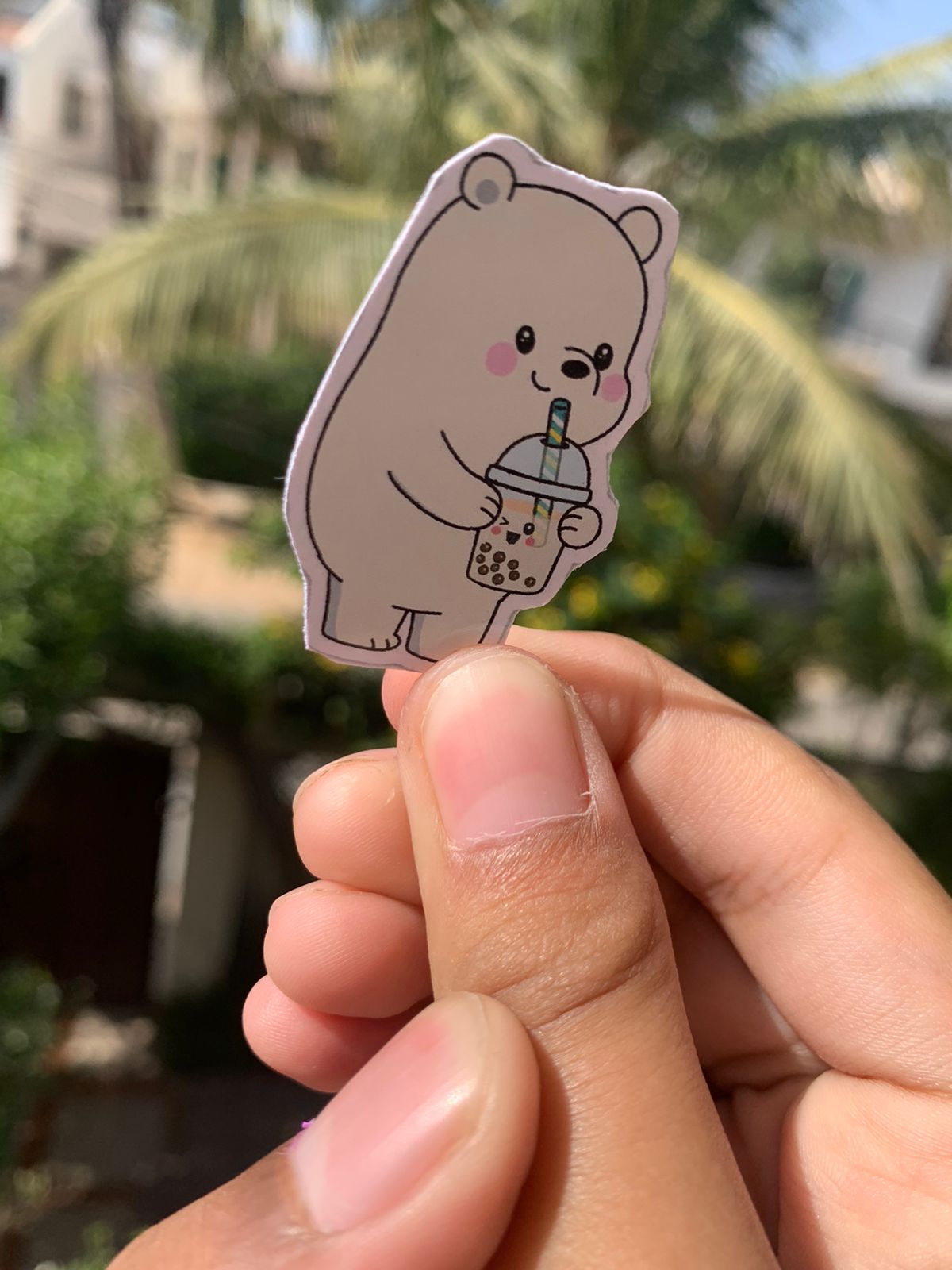 Pack Of 15 Bundle 01