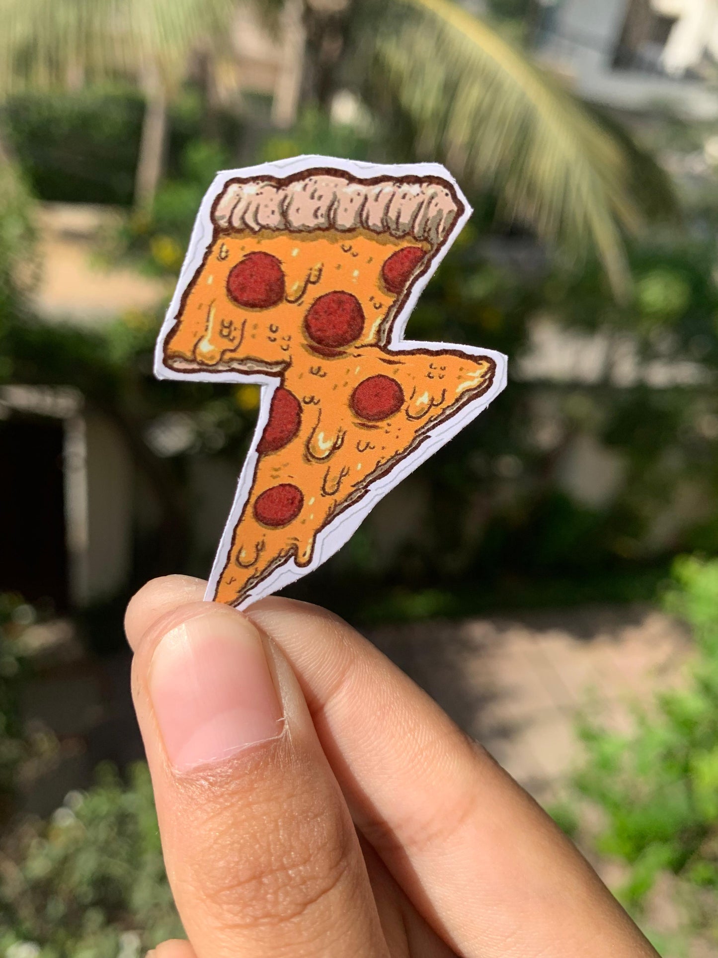 Pack Of 15 Bundle 01