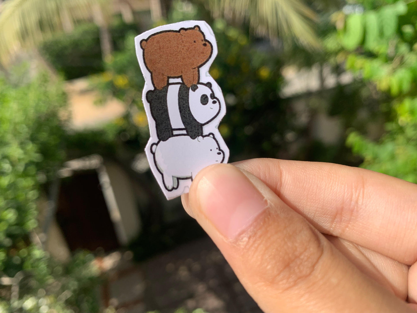 Pack Of 15 Bundle 01