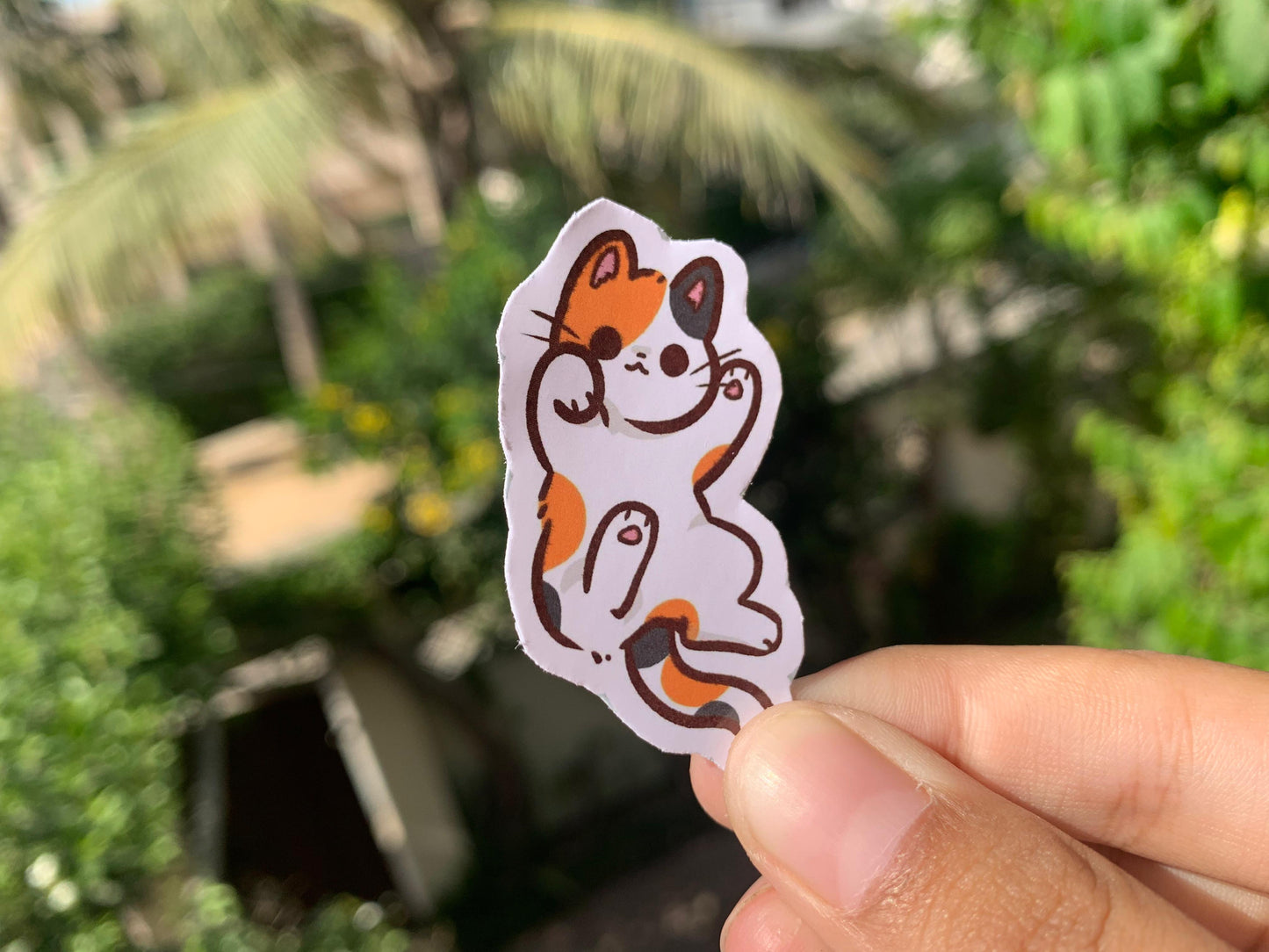 Pack Of 15 Bundle 01