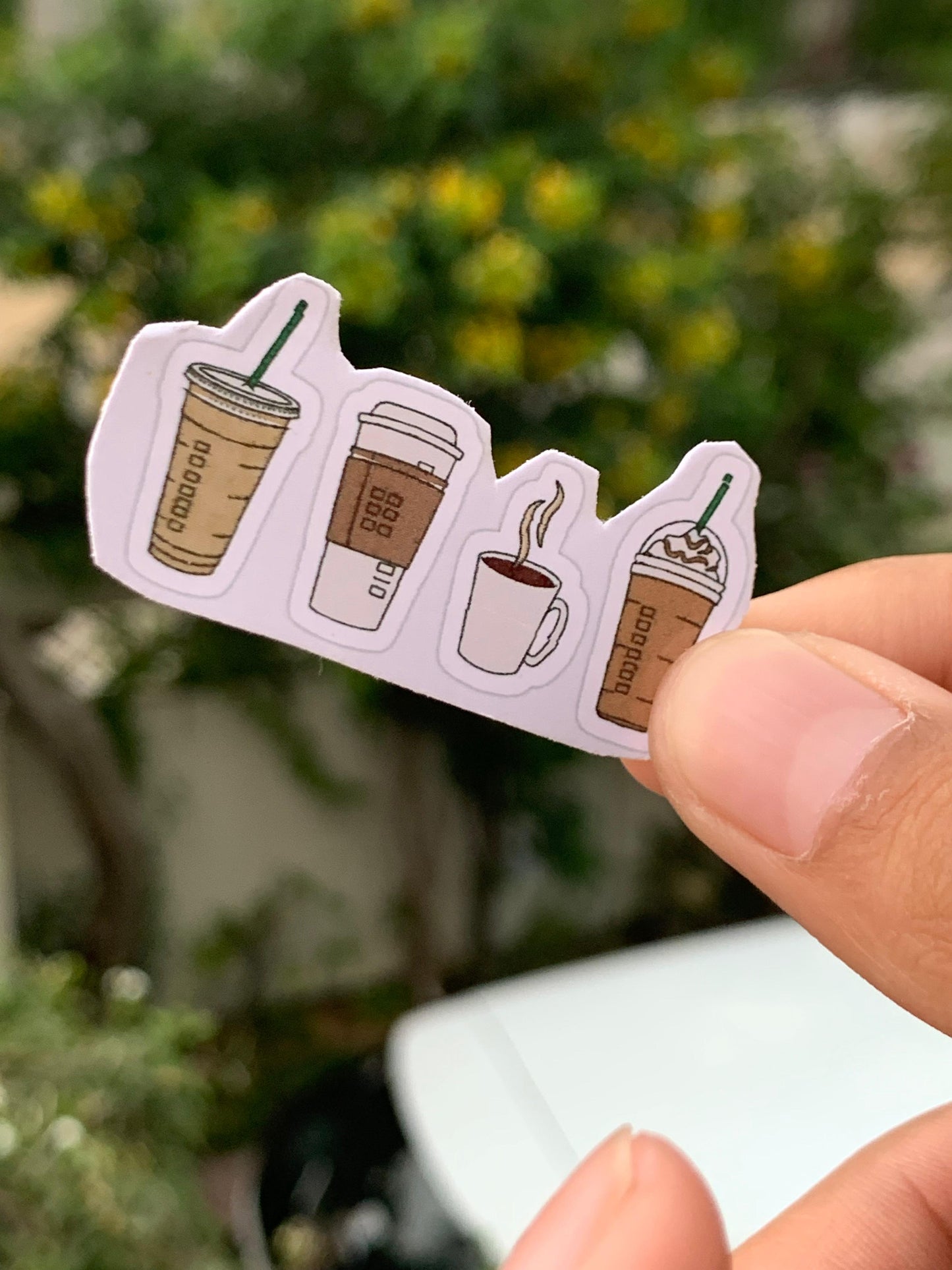 Pack Of 15 Bundle 01