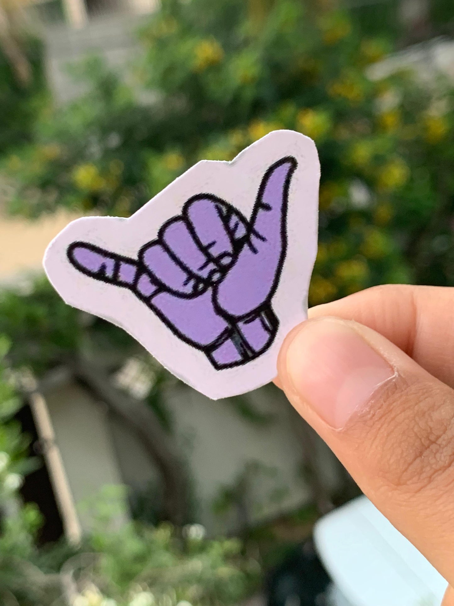 Pack Of 15 Bundle 01